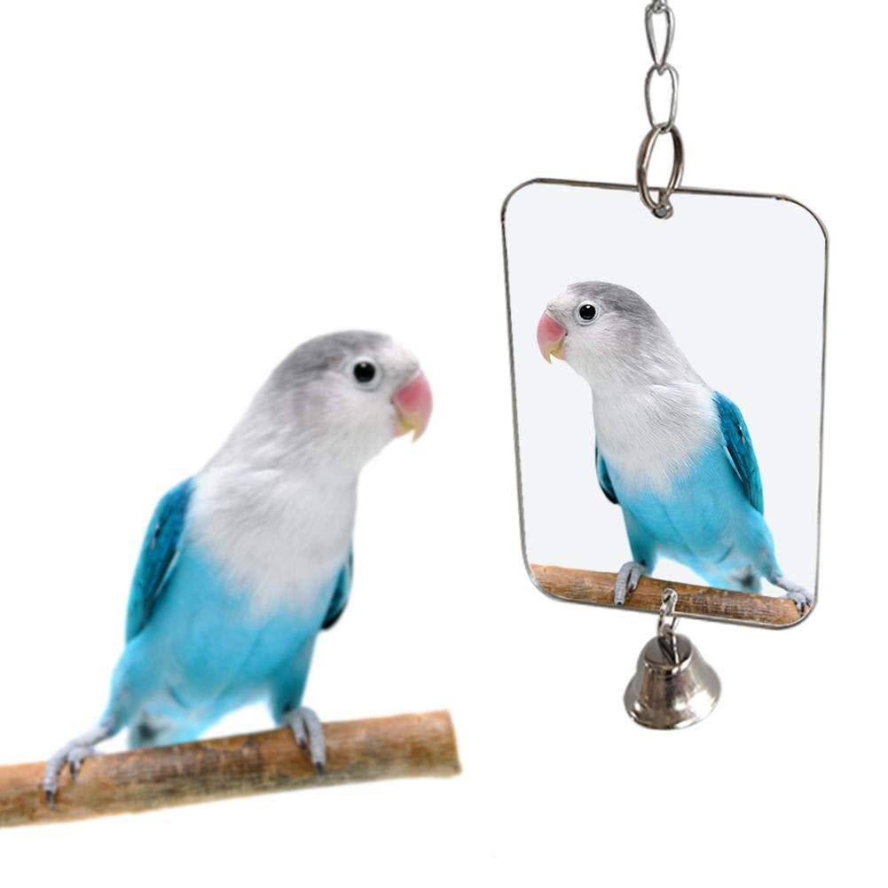 1Pc Parrot Bird Parakeet Hanging Mirror Bell Play Toy Cage Decoration Pet Supplies