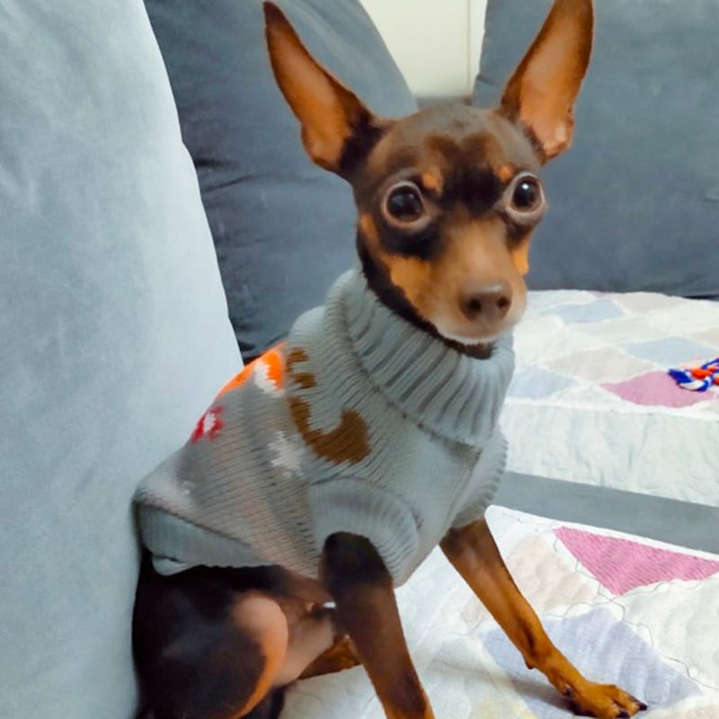 Cute Cartoon Small Dog Sweater Winter Warm Pet Clothes...