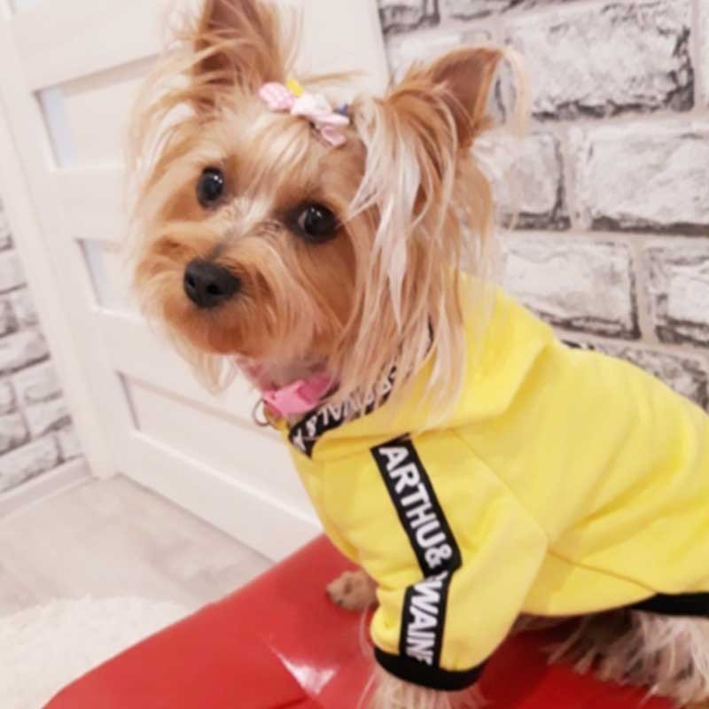 Fashion Dog Clothes Spring Pets Dogs Clothing For Small Medium Dogs Costume Leisure Dog Hoodie Chihuahua Puppy Outfit Ropa Perro