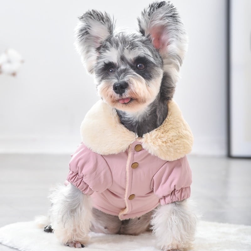 Fur Collar Sausage Dog Dachshund Clothing For Pets...
