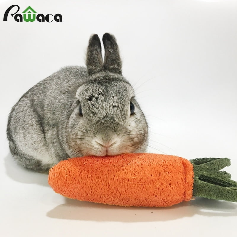 Hamster Chew Toy loofah Sponge Carrot For Rabbit Guinea...