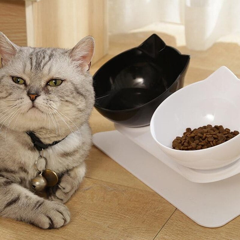Non-Slip Double Cat Bowl With Stand Pet Feeding Bowl...