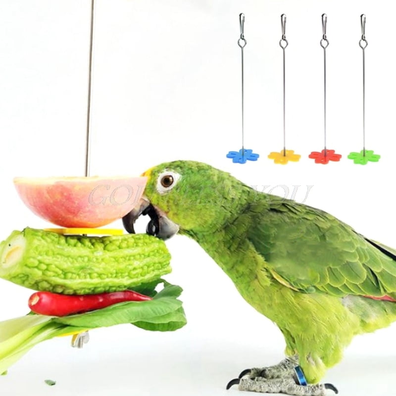 Pet Parrot Fruit Fork Feeding Birds Hang Cage Stainless...