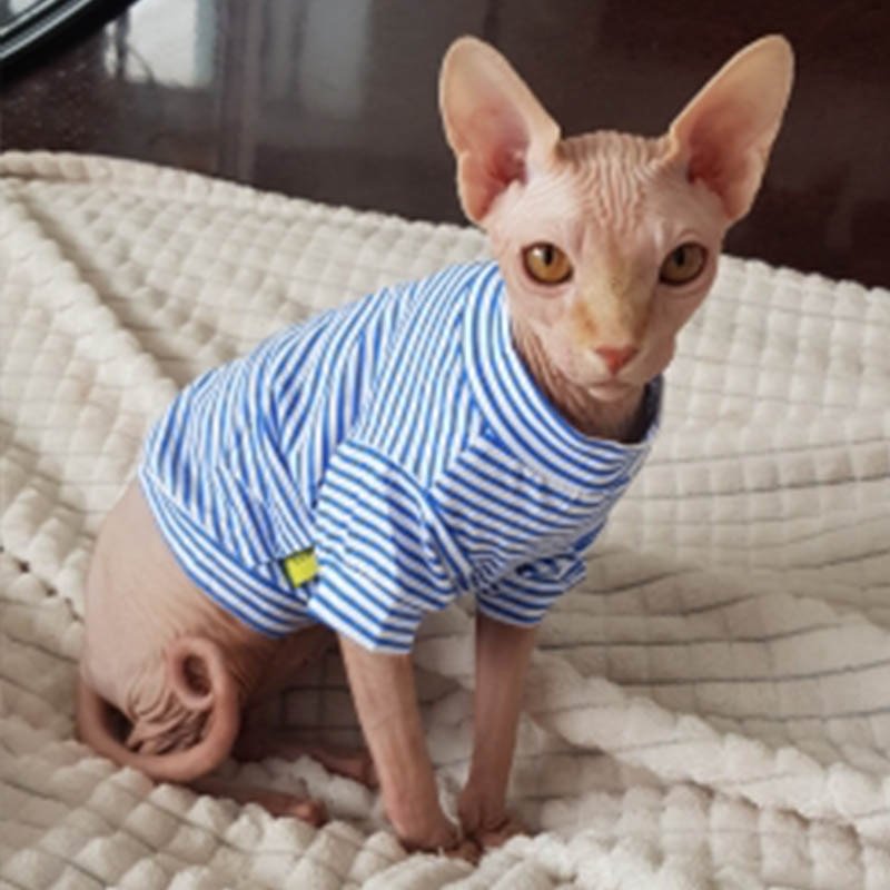 Plaid Cat Clothes Autumn Winter Pet Clothing for Small...