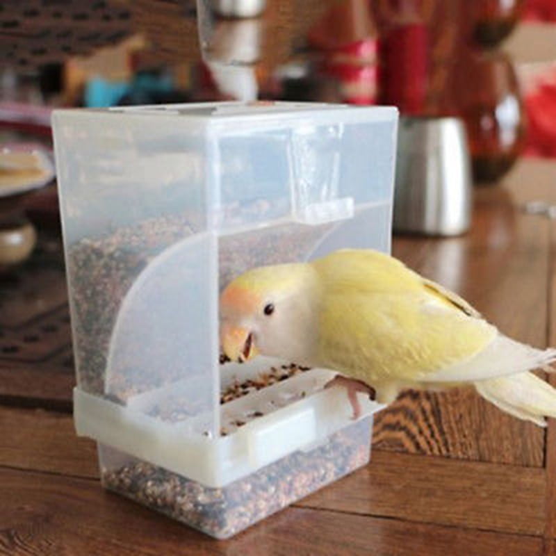 Small Size Bird Poultry Feeder Automatic Acrylic Food Container Parrot Pigeon Splash Proof 10x12x7.5CM